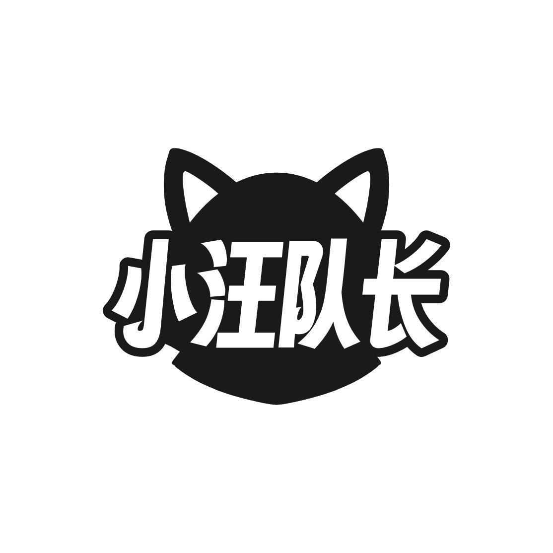 小汪队长