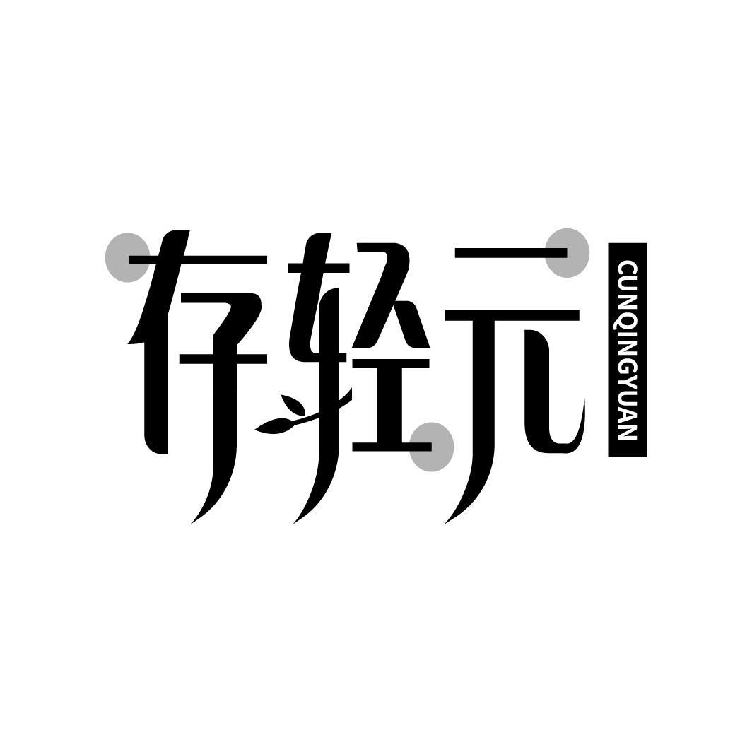 存轻元