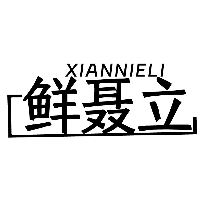 鲜聂立