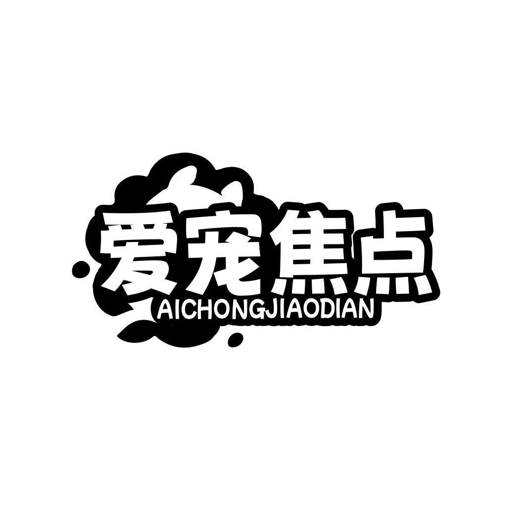 爱宠焦点