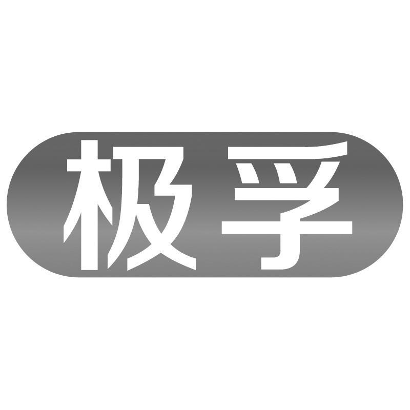 极孚