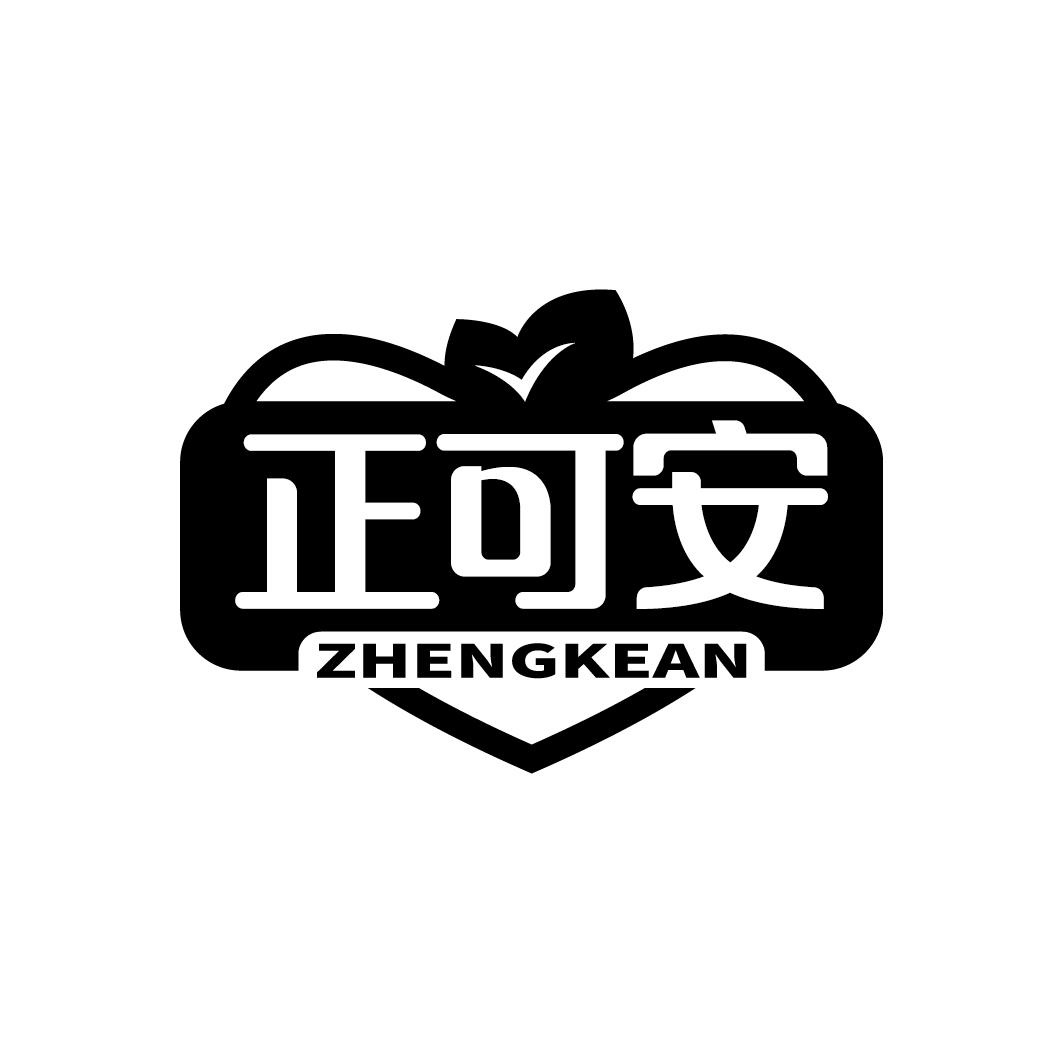 正可安