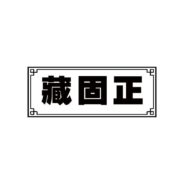 藏固正