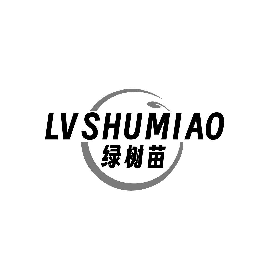 绿树苗