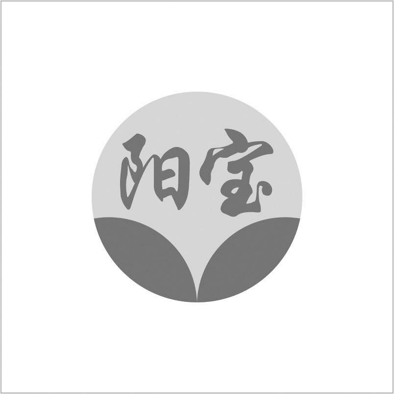 阳宝