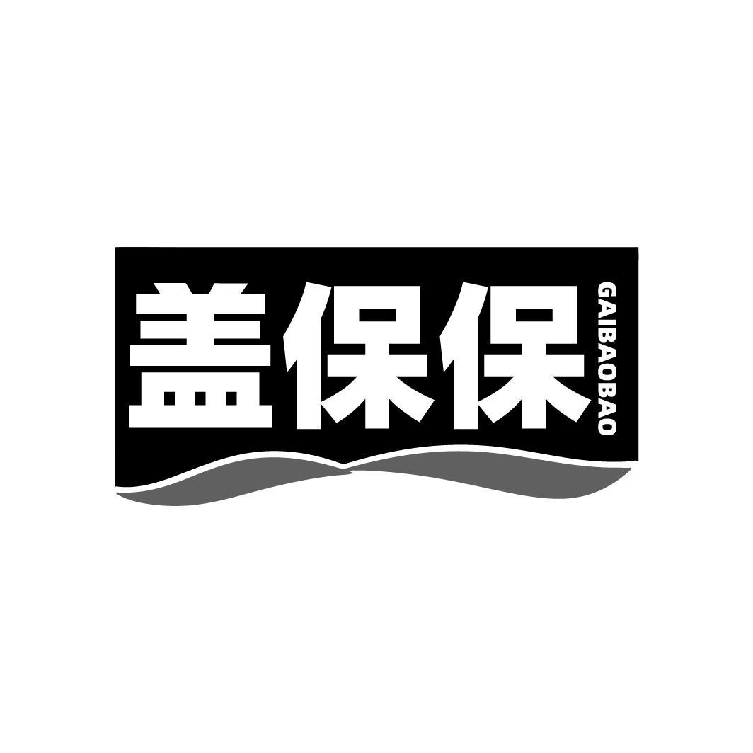 盖保保