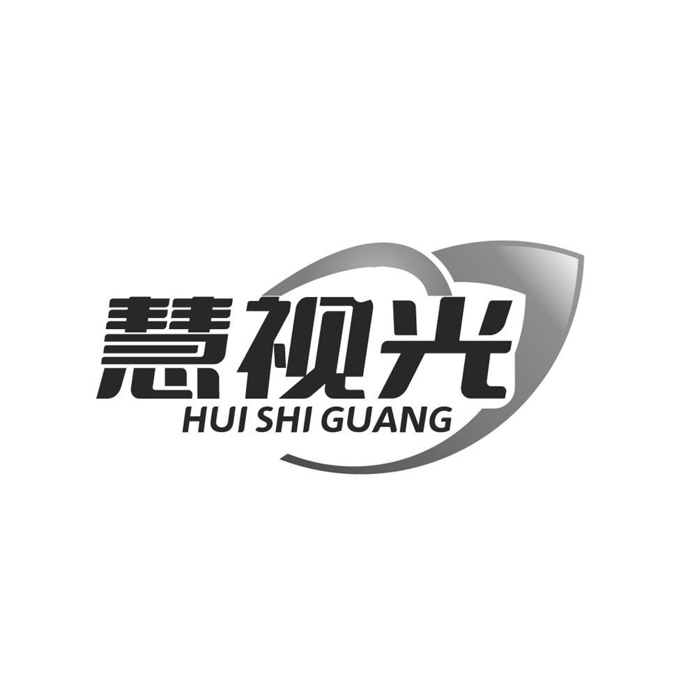 慧视光