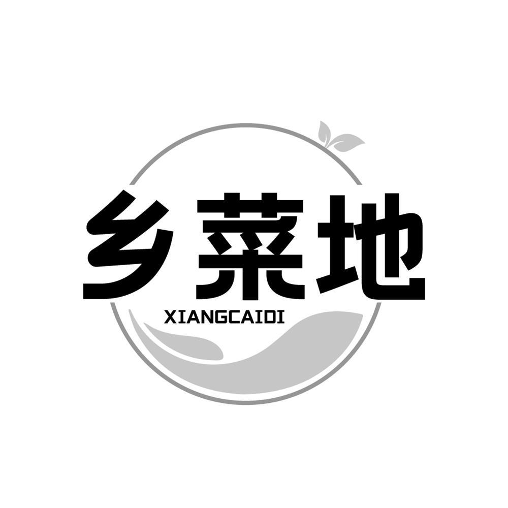 乡菜地