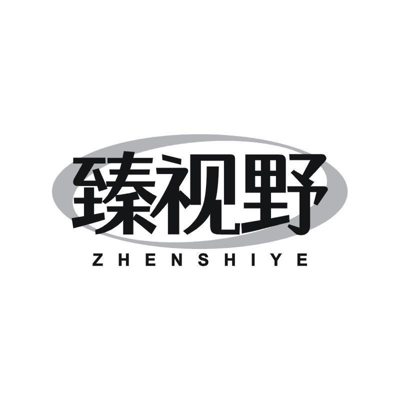 臻视野