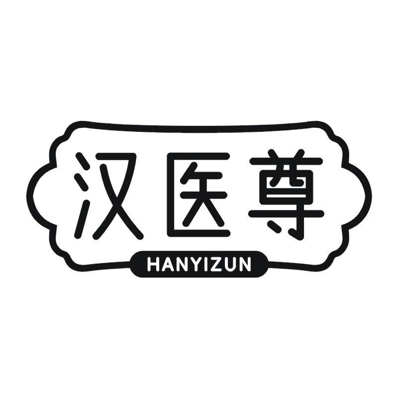 汉医尊