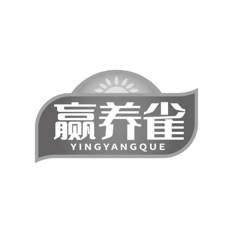 赢养雀