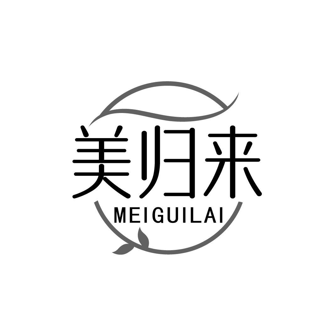 美归来