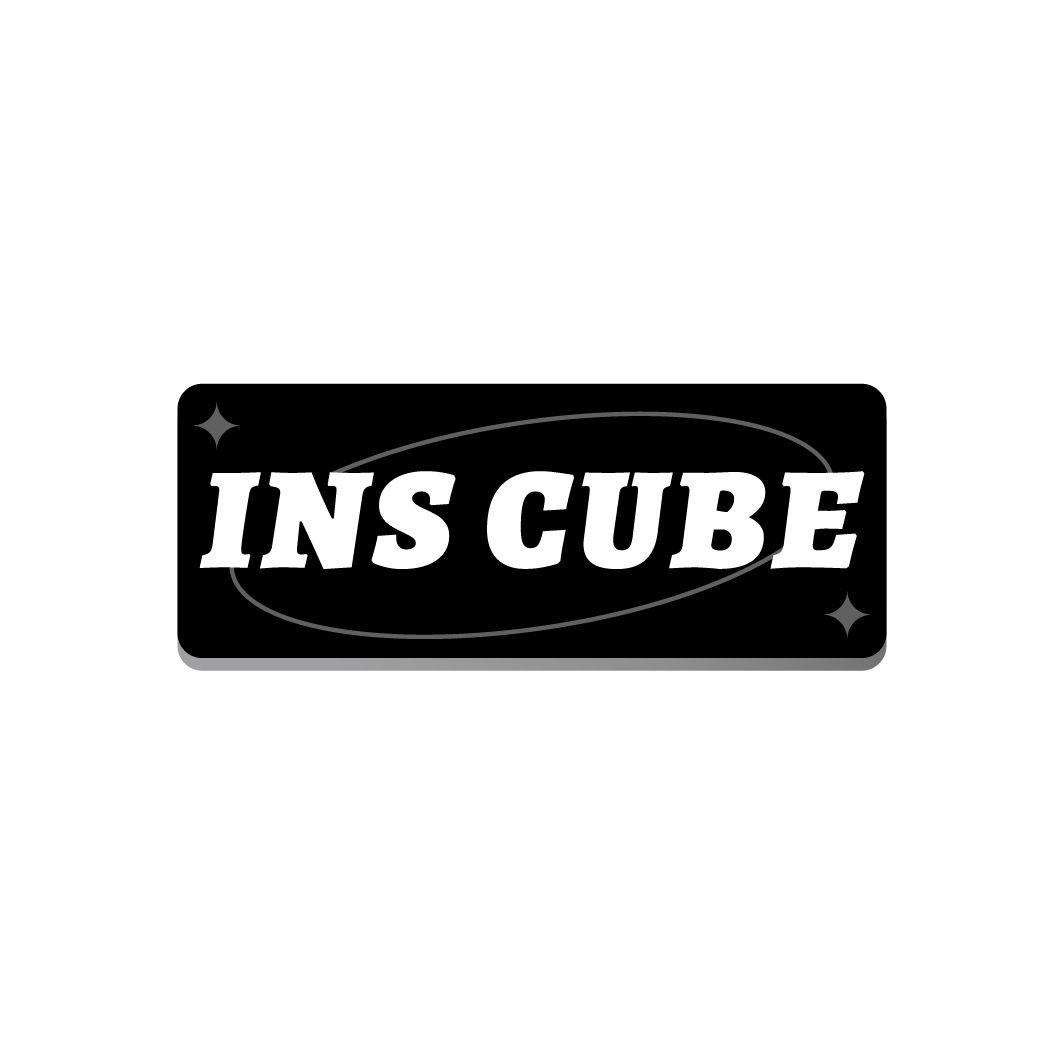 INS CUBE