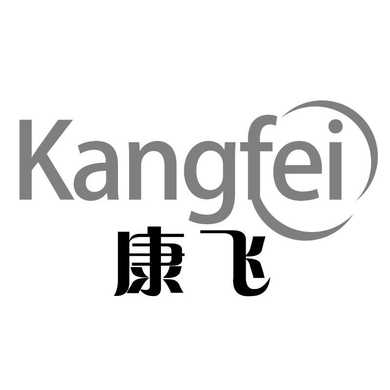 康飞