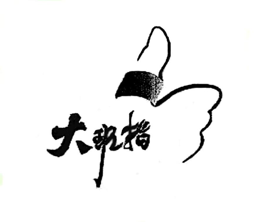 大班指