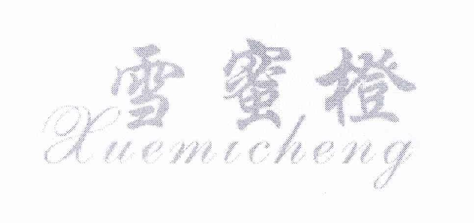 雪蜜橙+XUEMICHENG