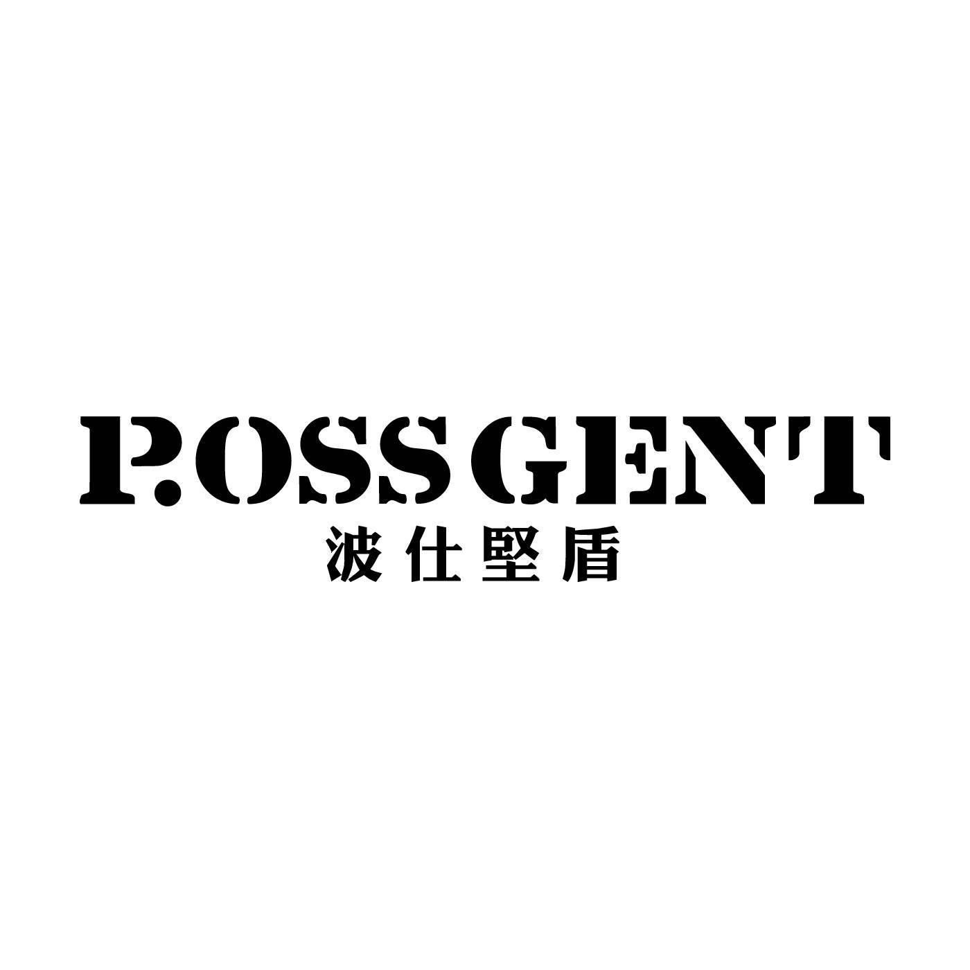 波仕坚盾 P.OSSGENT