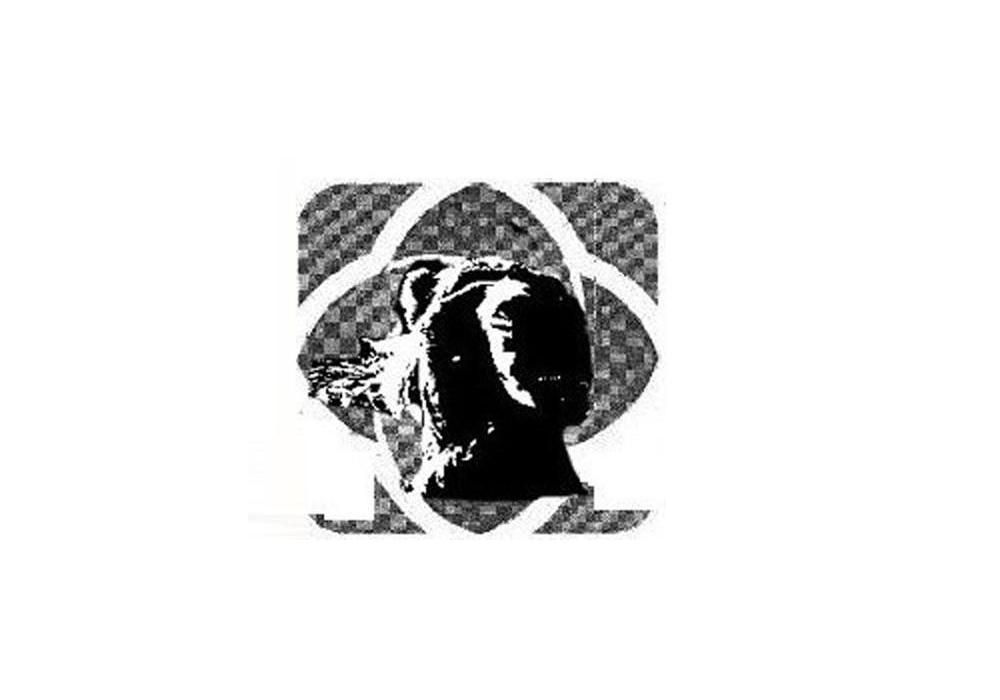 图形